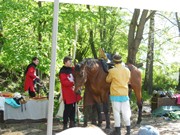 Celodenní výlet na Bezděz title=